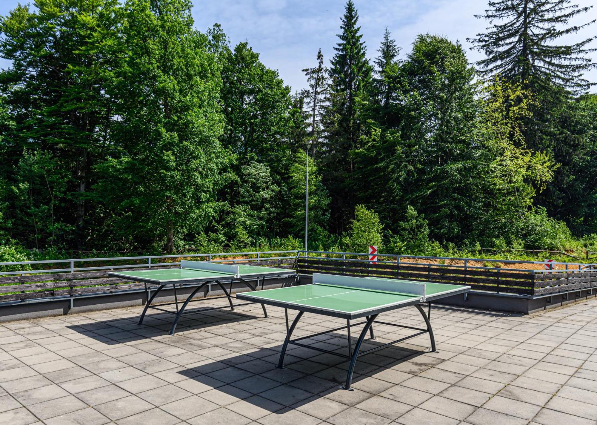Apartment "Mountain Relax" Poiana Brașov Zewnętrze zdjęcie