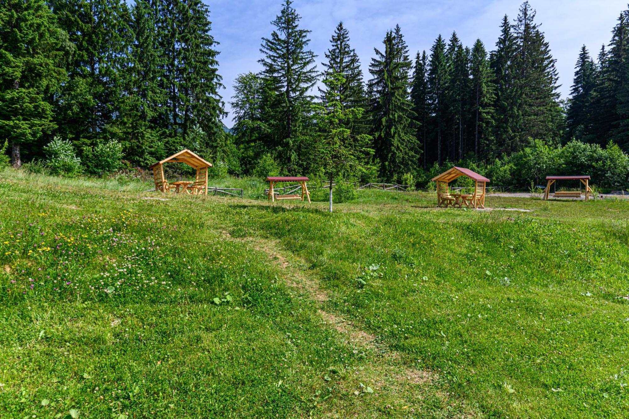 Apartment "Mountain Relax" Poiana Brașov Zewnętrze zdjęcie